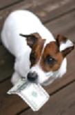 ist1_5650448-dog-holding-money_1.jpg